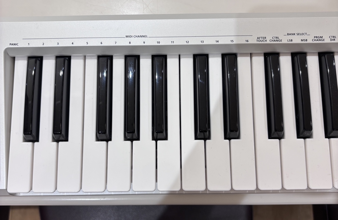 Roland 【特別価格】A-49 (ホワイト) MIDIキーボード・コントローラー