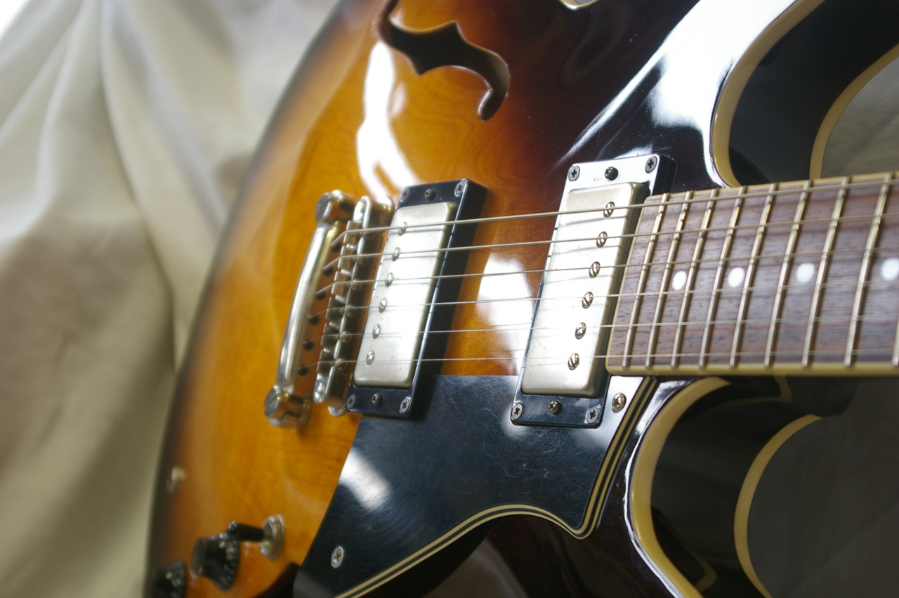 Cort Source 335（中古）【楽器検索デジマート】