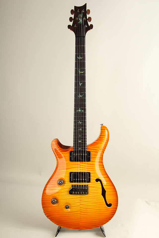 Paul Reed Smith(PRS) Private Stock #9832 Custom24 Semi