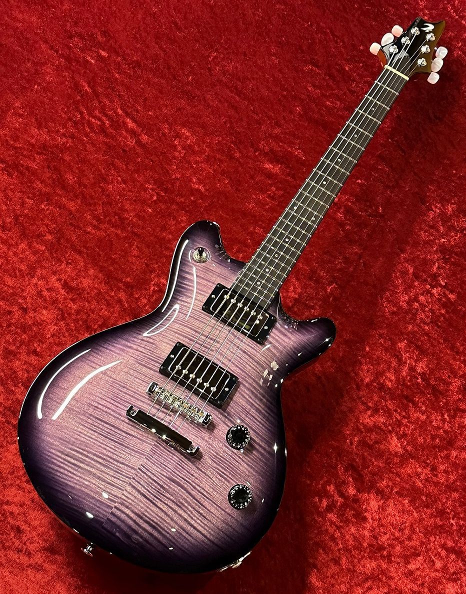 T's Guitars Arc Standard 2018年限定モデル T's Guitars Arc Standard