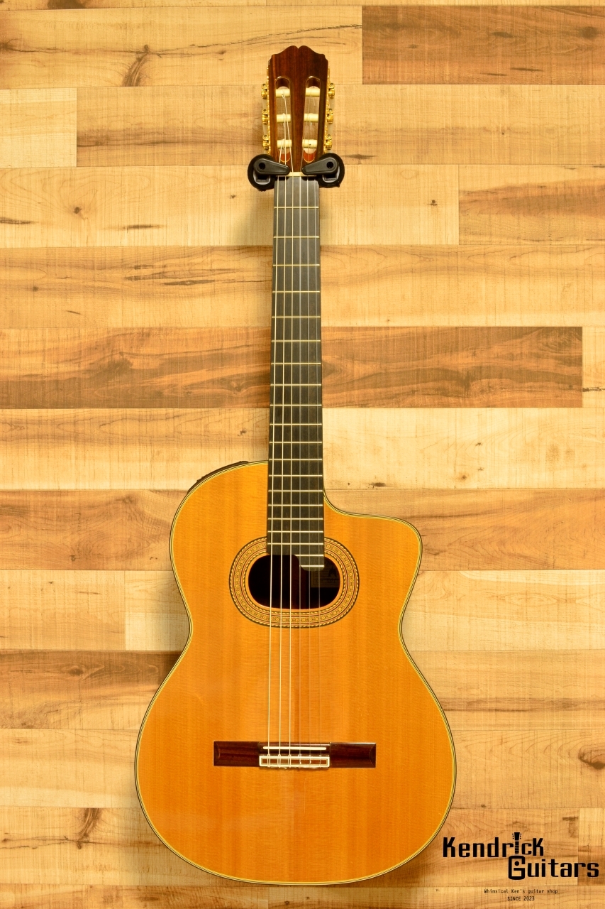 Takamine 1996 NPT-315 w/OHC（中古/送料無料）【楽器検索デジマート】