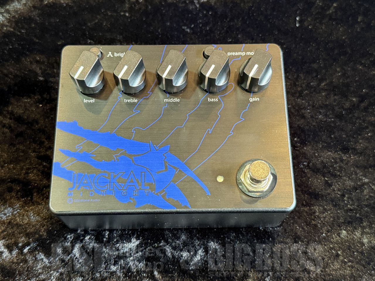 Limetone Audio JACKAL MIDNIGHT ｜イケベ楽器店オンラインストア