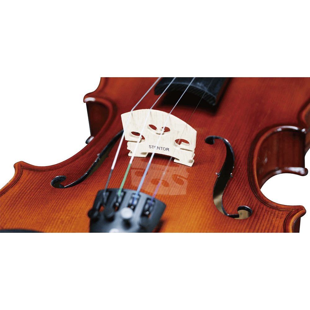 STENTORバイオリン 1/16サイズ 本体と赤いケース付き STENTOR STENTOR SV-180 1/16サイズ Violin バイオリン 【初心者向け