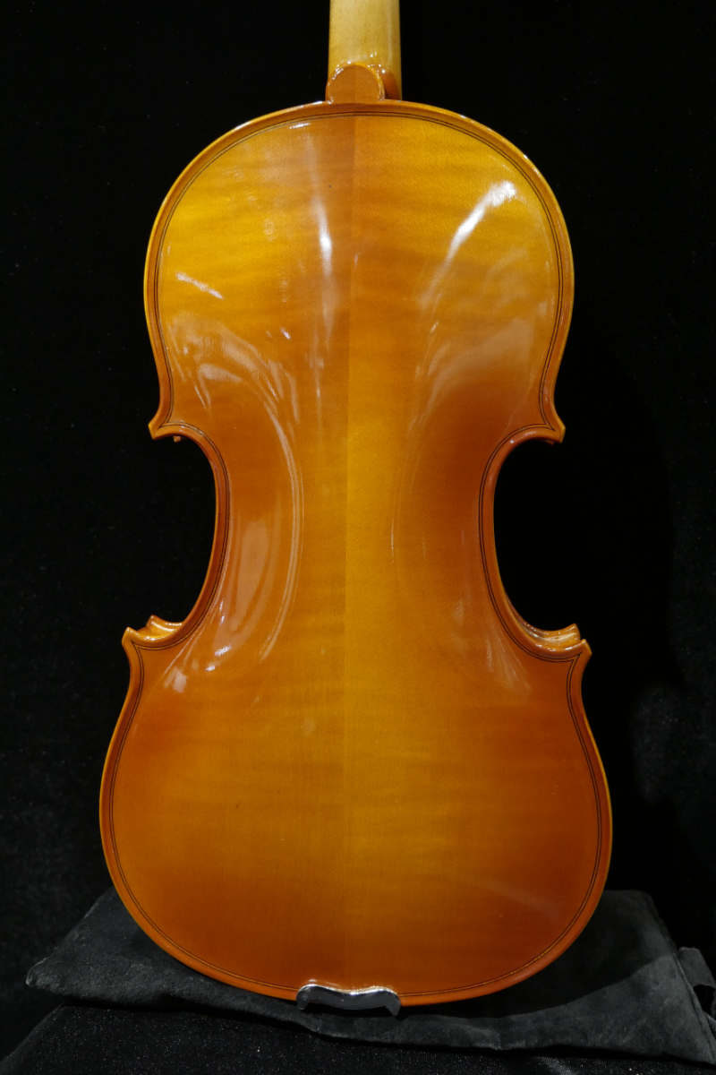 Valente Germany VG-1 4/4 Violin Set（中古）【楽器検索デジマート】