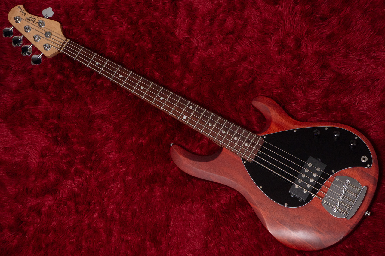 Sterling by MUSIC MAN S.U.B. Series Ray5 Walnut Satin 4.380
