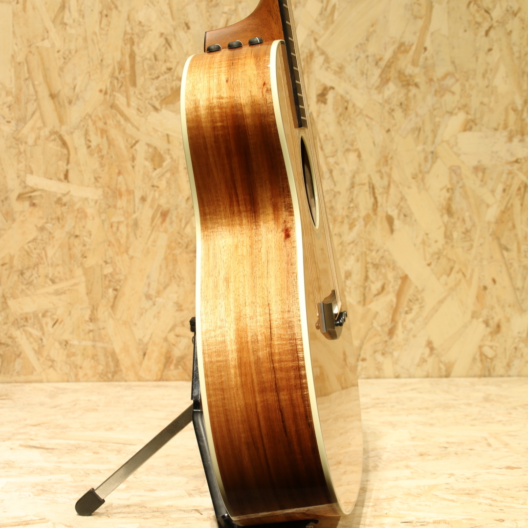 Taylor 514ce LTD 2022（中古）【楽器検索デジマート】