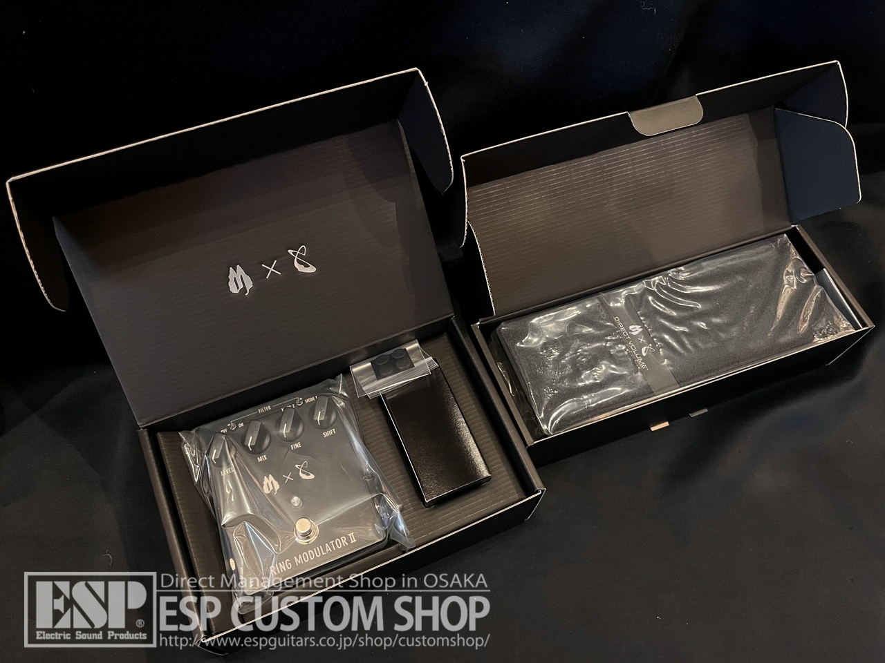 Ken　FREE THE TONE RM-2S DVL-1EX セット RING MODULATOR II｜CUSTOM SHOP カスタムショップ｜Free The Tone