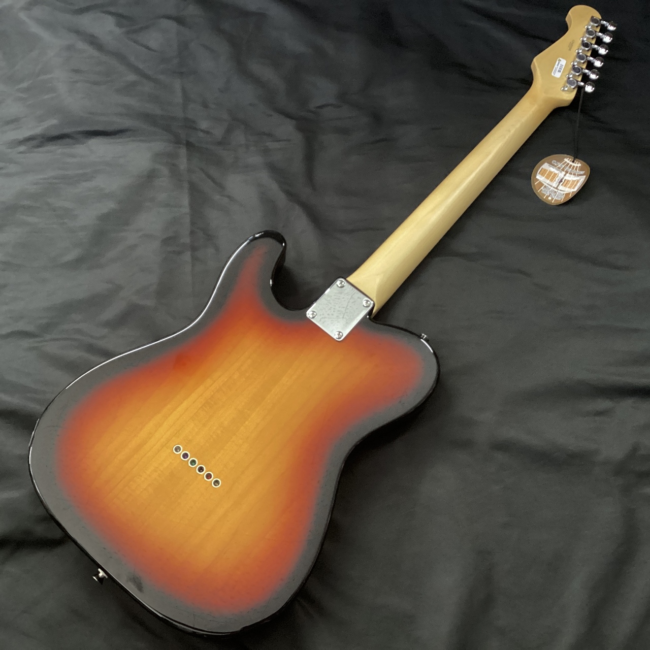 FUJIGEN(FGN) BCTE100(フジゲン テレキャスター)（新品）【楽器