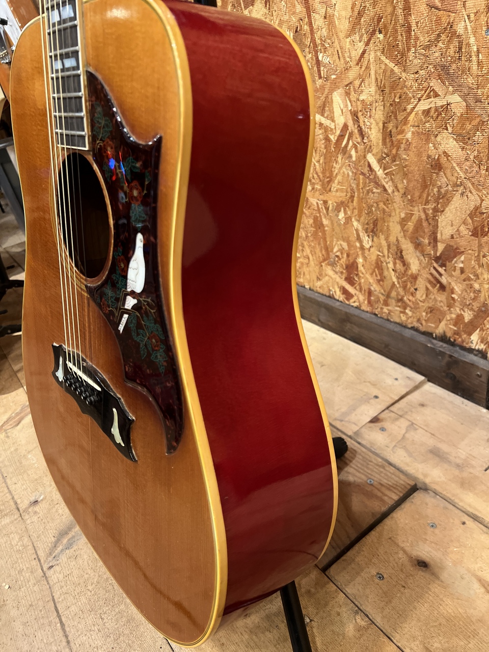 Gibson GIBSON DOVE 【early 70'S】（ビンテージ）［デジマートSALE