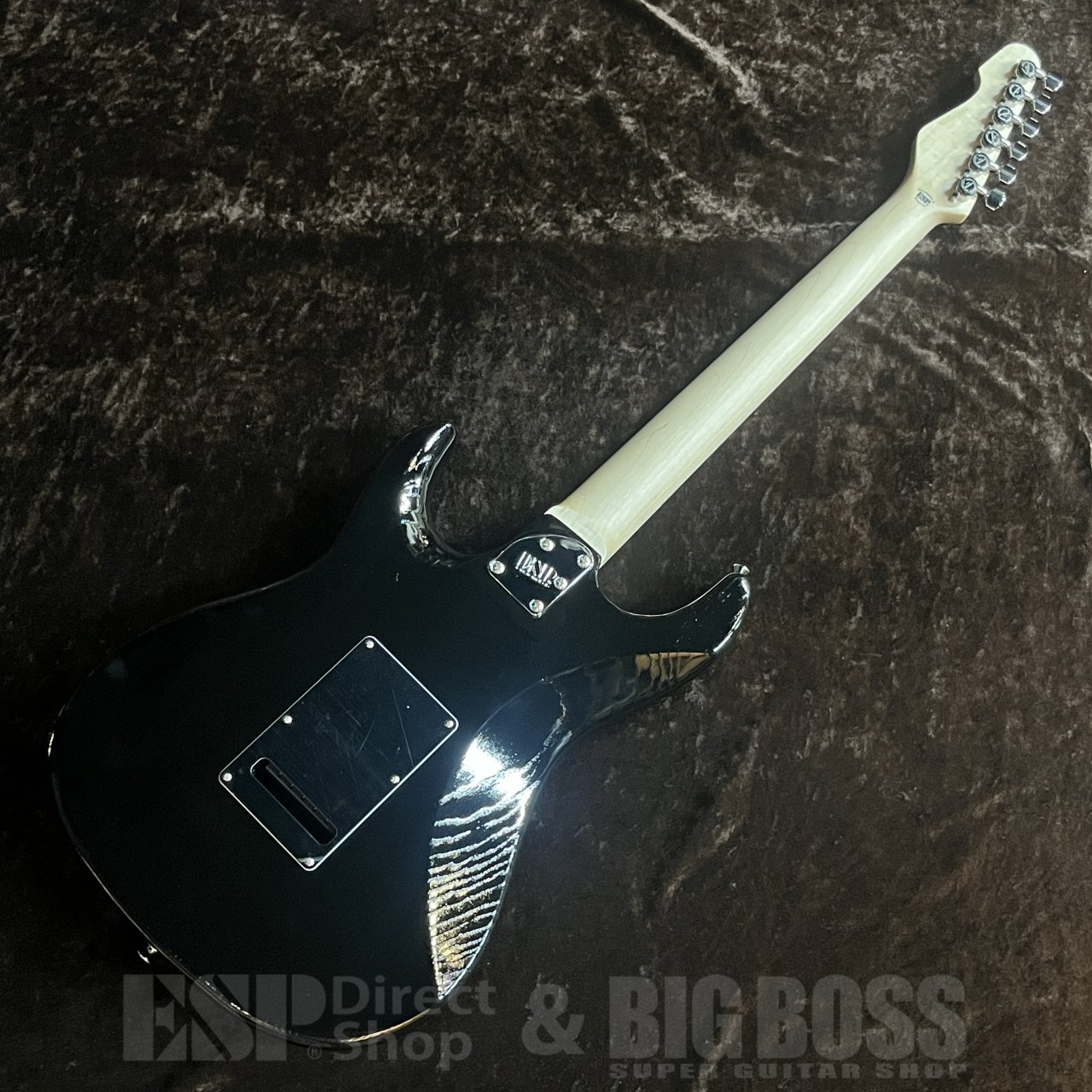 EDWARDS E-SNAPPER-AS/M【Solid Black】（新品/送料無料）【楽器検索