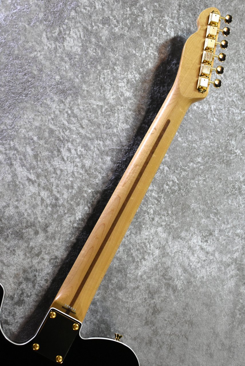 Tokai ATE-101B/G BBR #250631【待望の入荷、漆黒指板、3.69kg】（新品