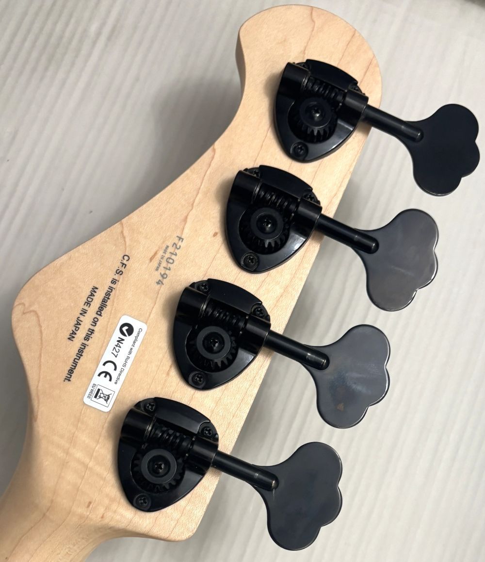 FUJIGEN(FGN) J-Standard Series JMJ-ASH-DE-M/TWF 01【USED