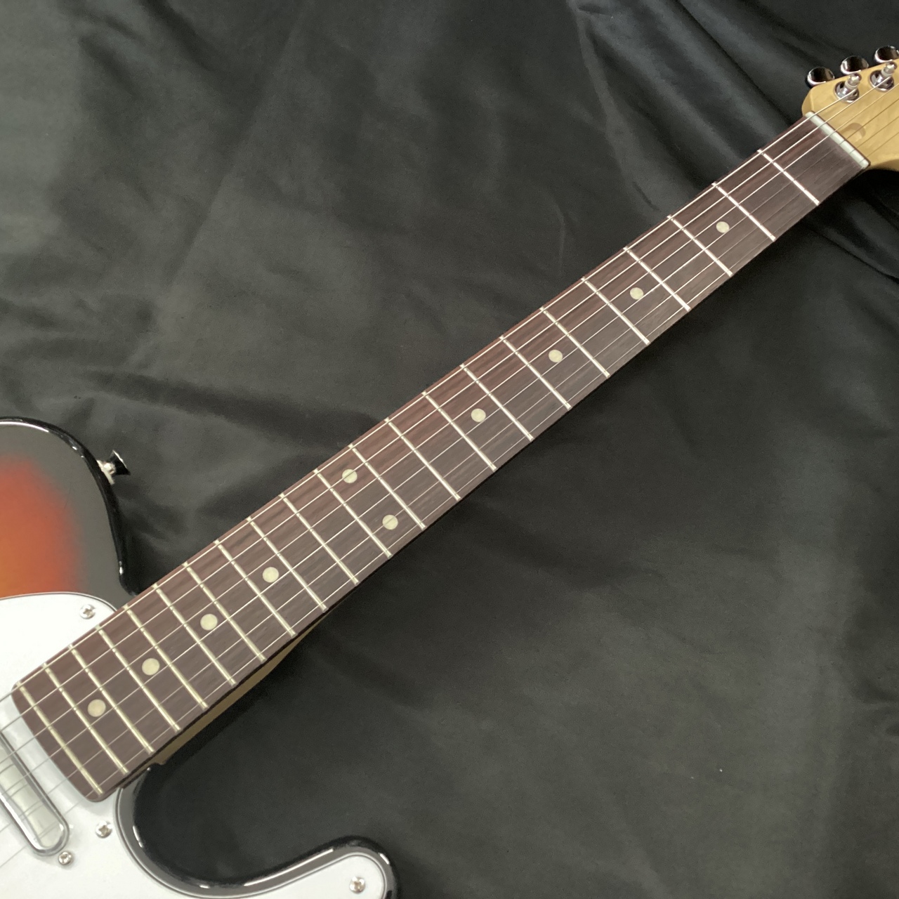 FUJIGEN(FGN) BCTE100(フジゲン テレキャスター)（新品）【楽器