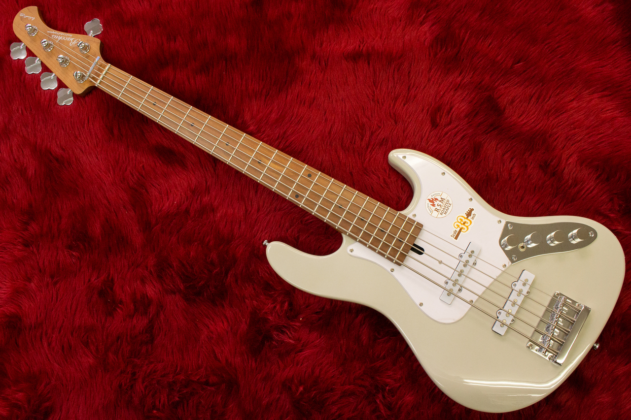 Bacchus WL5-STD33-AC RSM/M LG ブリッジベースプレート曲がり 
