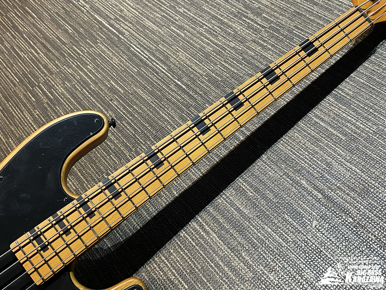 SCHECTER MODEL-T SESSION【希少なTLベース!】 （新品/送料無料