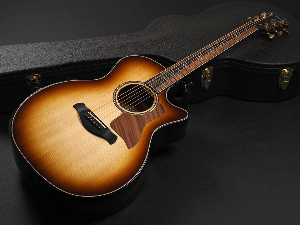 Taylor Builder's Edition 814ce Honduran Rosewood / Adirondack