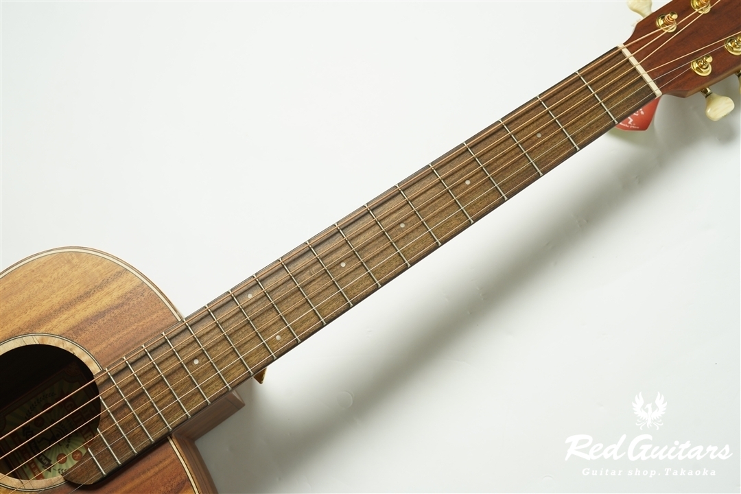 aNueNue Bird M1 アコースティックギター aNueNue M1 Feather Bird Series aNN-M1 アヌエヌエ ｜イケベ