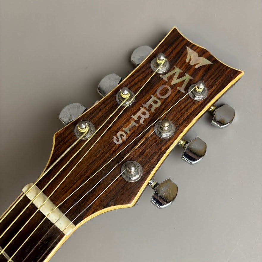Morris MG-30（中古/送料無料）【楽器検索デジマート】