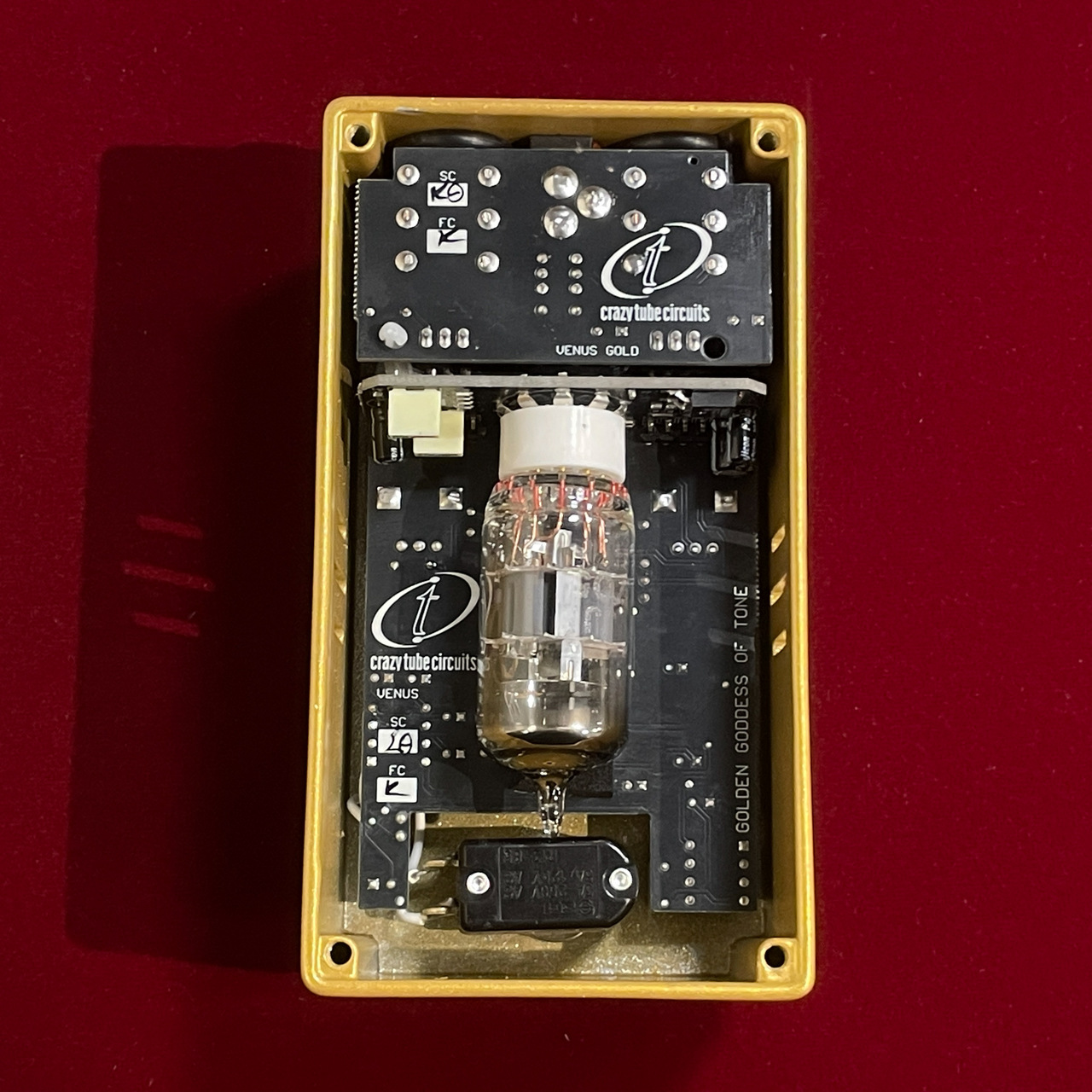 Crazy Tube Circuits Venus JAPAN Limited Edition 【日本限定50台の