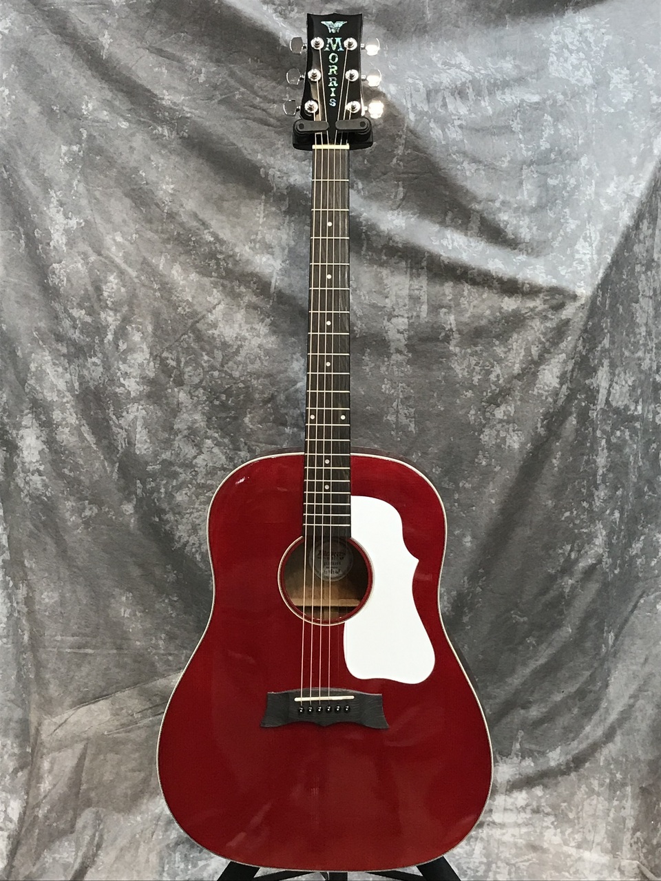 MORRIS G-021 WR （ワインレッド）アコースティックギター Morris G-021 WR（新品/送料無料）【楽器検索デジマート】