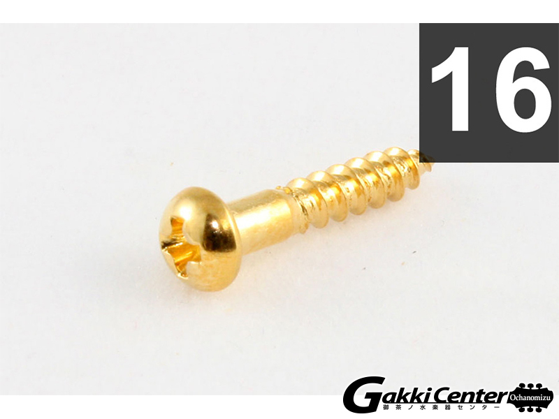 ALLPARTS Pack of 16 Long Gold Machine Head Screws/7502