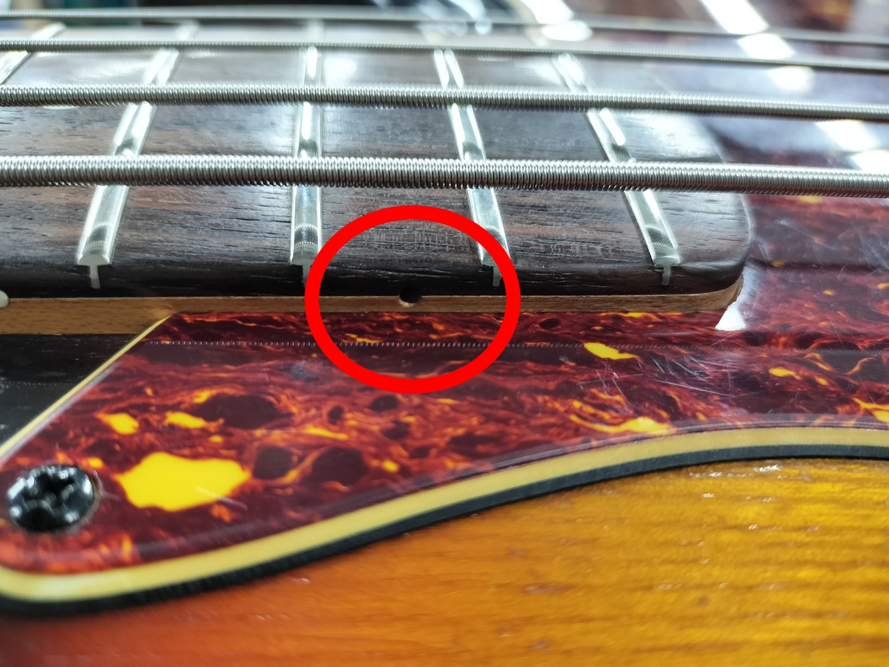 Navigator ESPIONAGE BASS/MOD ( ナビゲーター 国産 バルトリーニ製