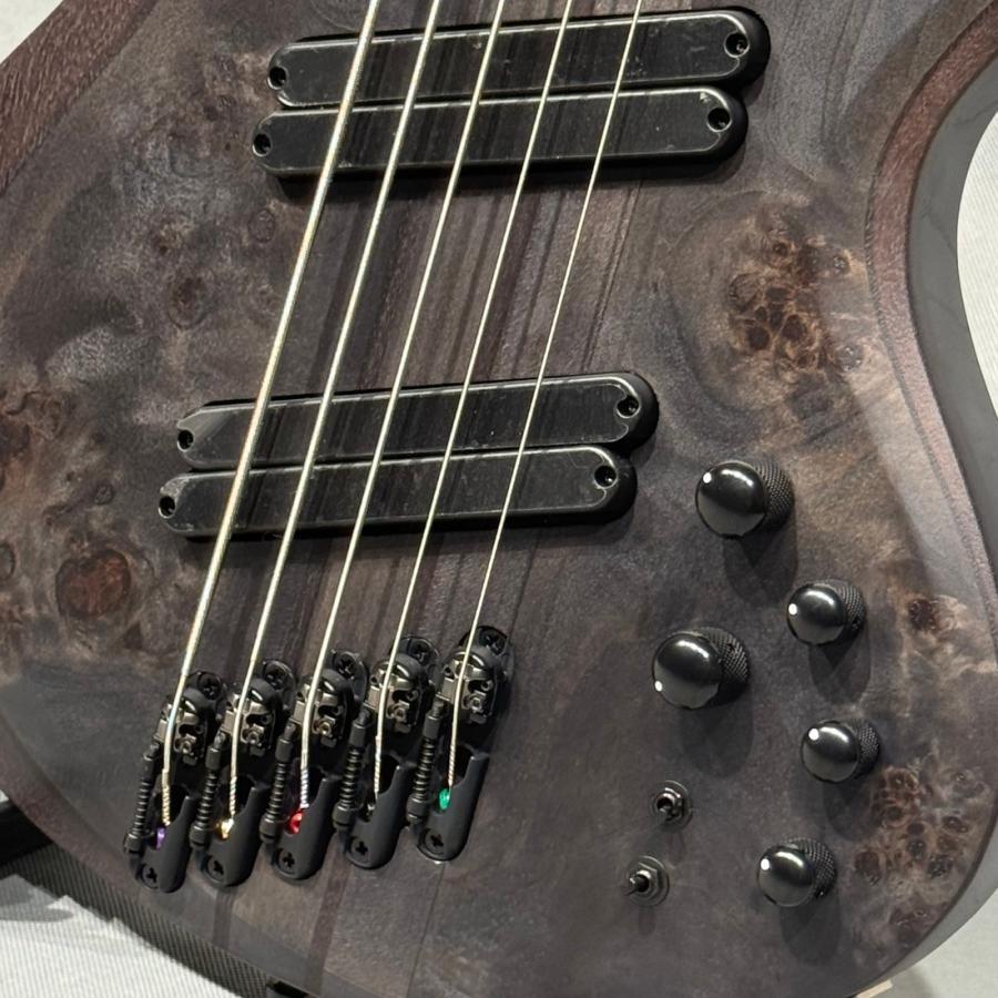 Ibanez BTB805MS TGF Transparent Gray Flat（新品特価）【楽器検索