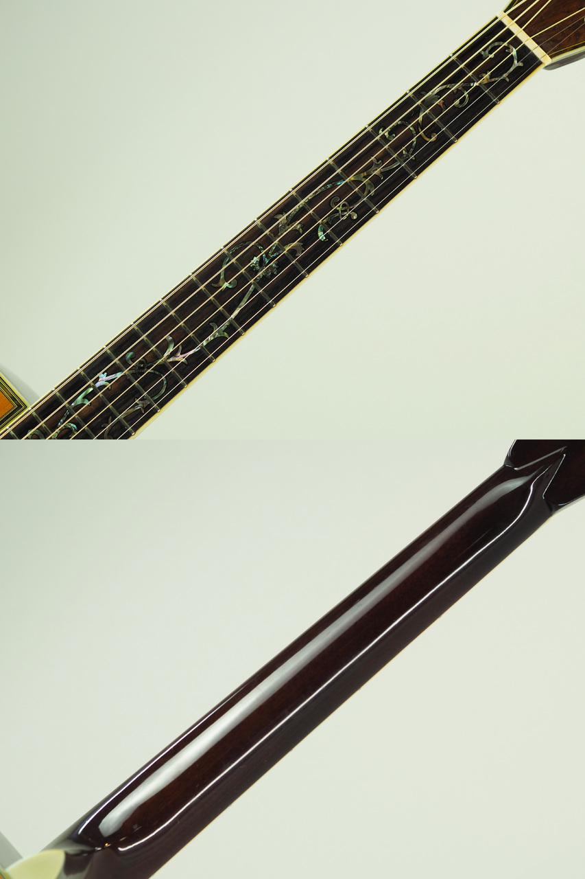 Morris TF-820(管理番号4962)（中古/送料無料）【楽器検索デジマート】