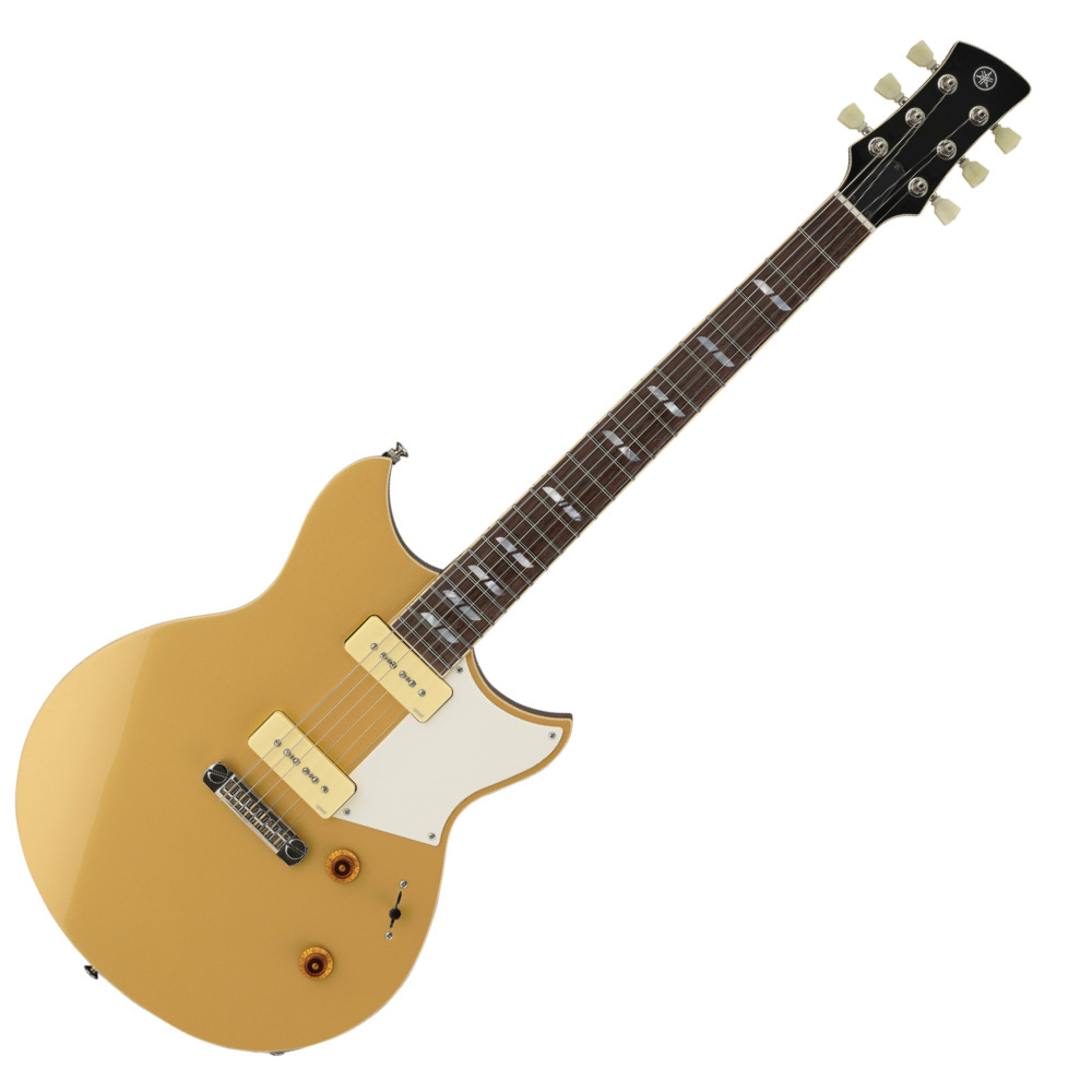 YAMAHA ヤマハ RS02CB REVSTAR クリス・バックシグネチャーモデル