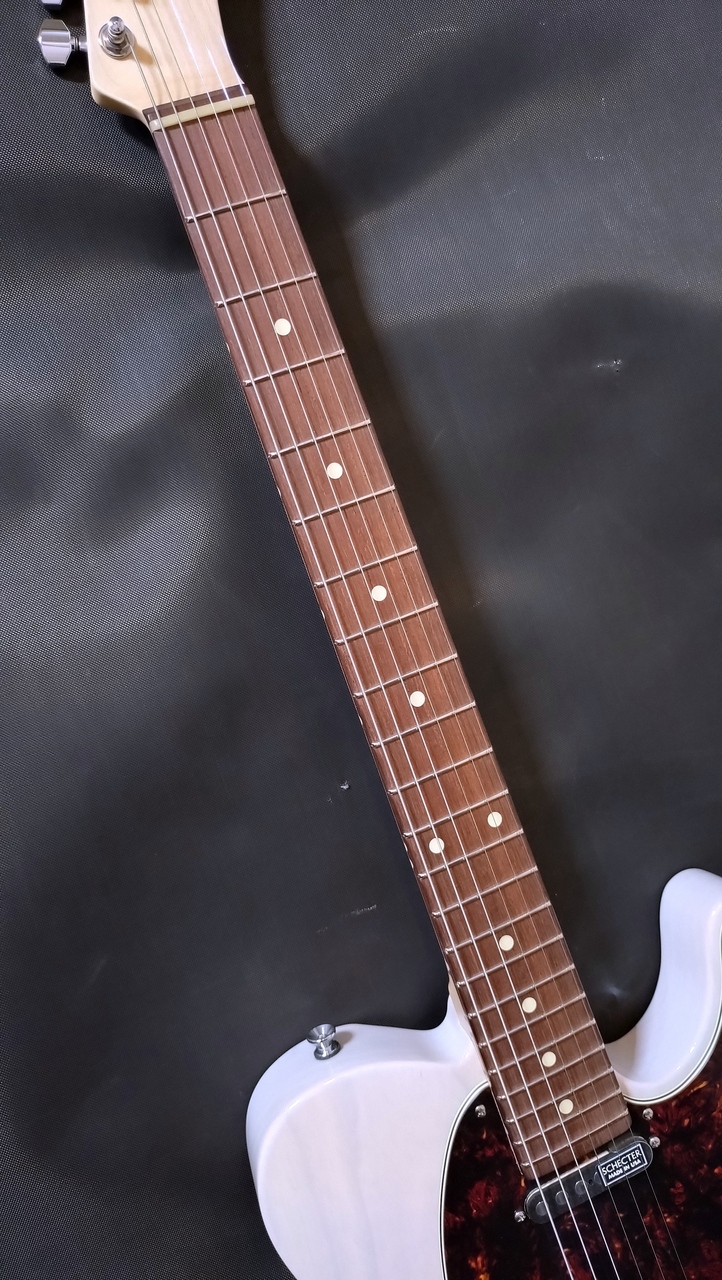 SCHECTER AC-TK-TE-WH/SIG【凛として時雨 TKシグネイチャーモデル