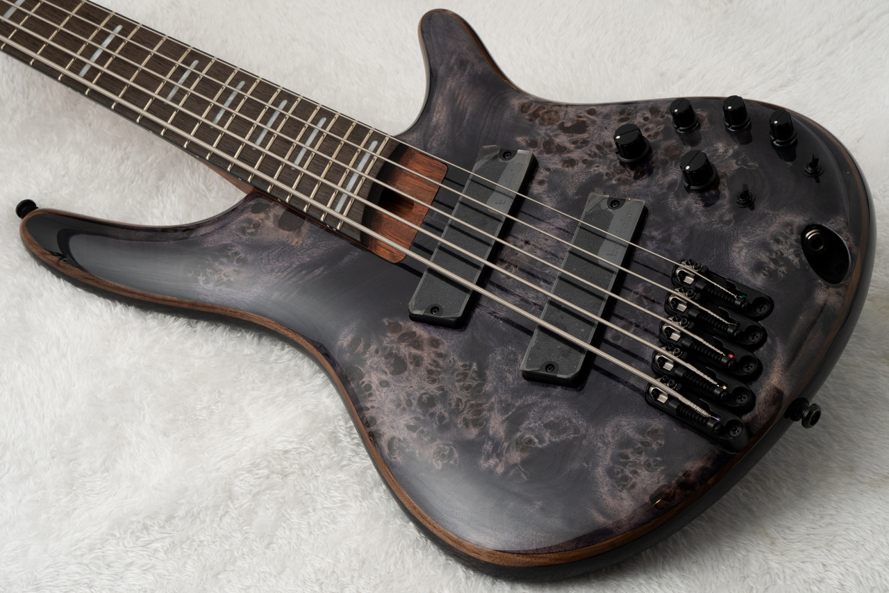 Ibanez SRMS805 -Deep Twilight / DTW- #260505183 [4.04kg]（新品