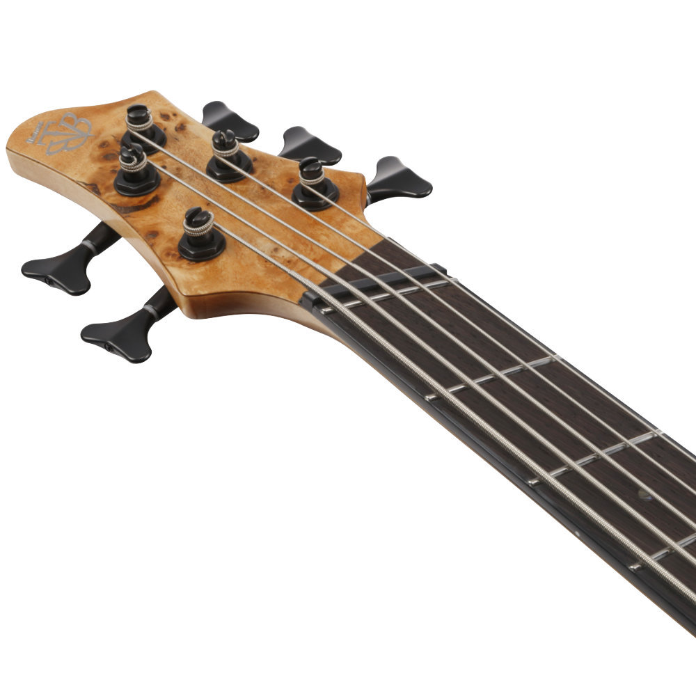 Ibanez アイバニーズ BTB805MS-FNL BTB Boutique Bass w/Multi Scale