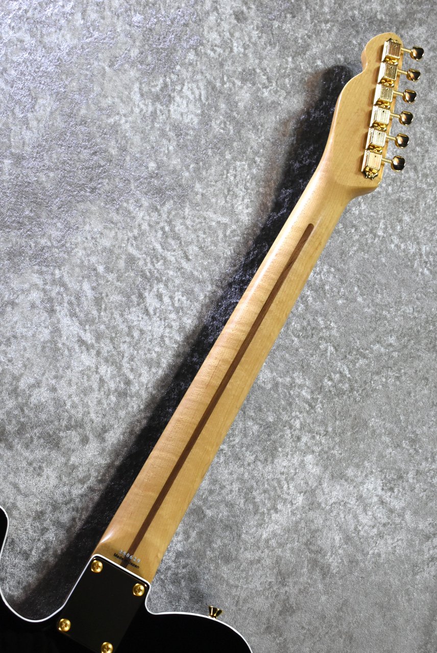 Tokai ATE-101B/G BBR #250619【待望の入荷、漆黒指板、3.81kg】（新品
