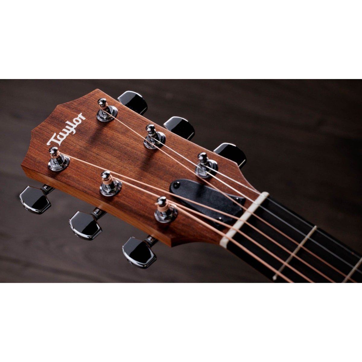 Taylor Academy12e Natural [単板トリファイド・スプルーストップ