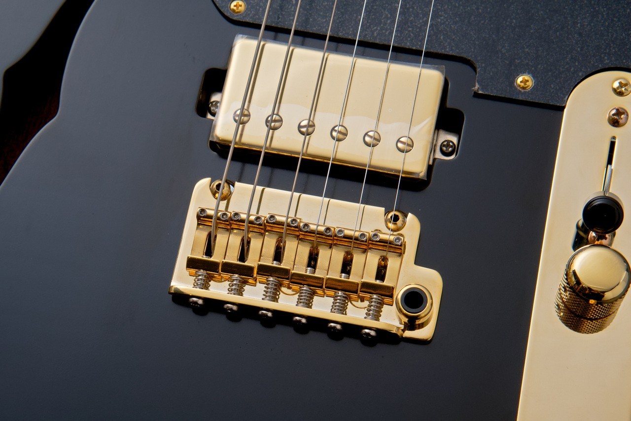 Kz Guitar Works Kz TL Trad Semi-Hollow 22 2H6 Custom -All Black