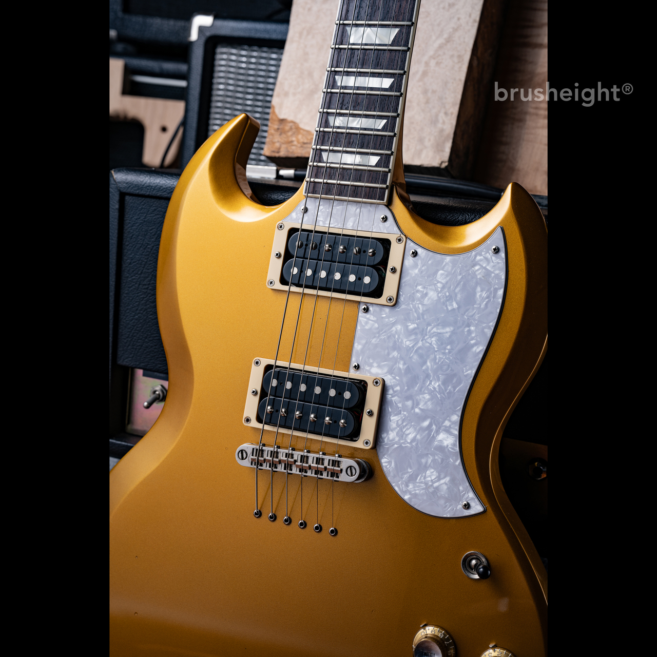 FUJIGEN(FGN) 【動画有】FUJIGEN(FGN) Neo Classic 