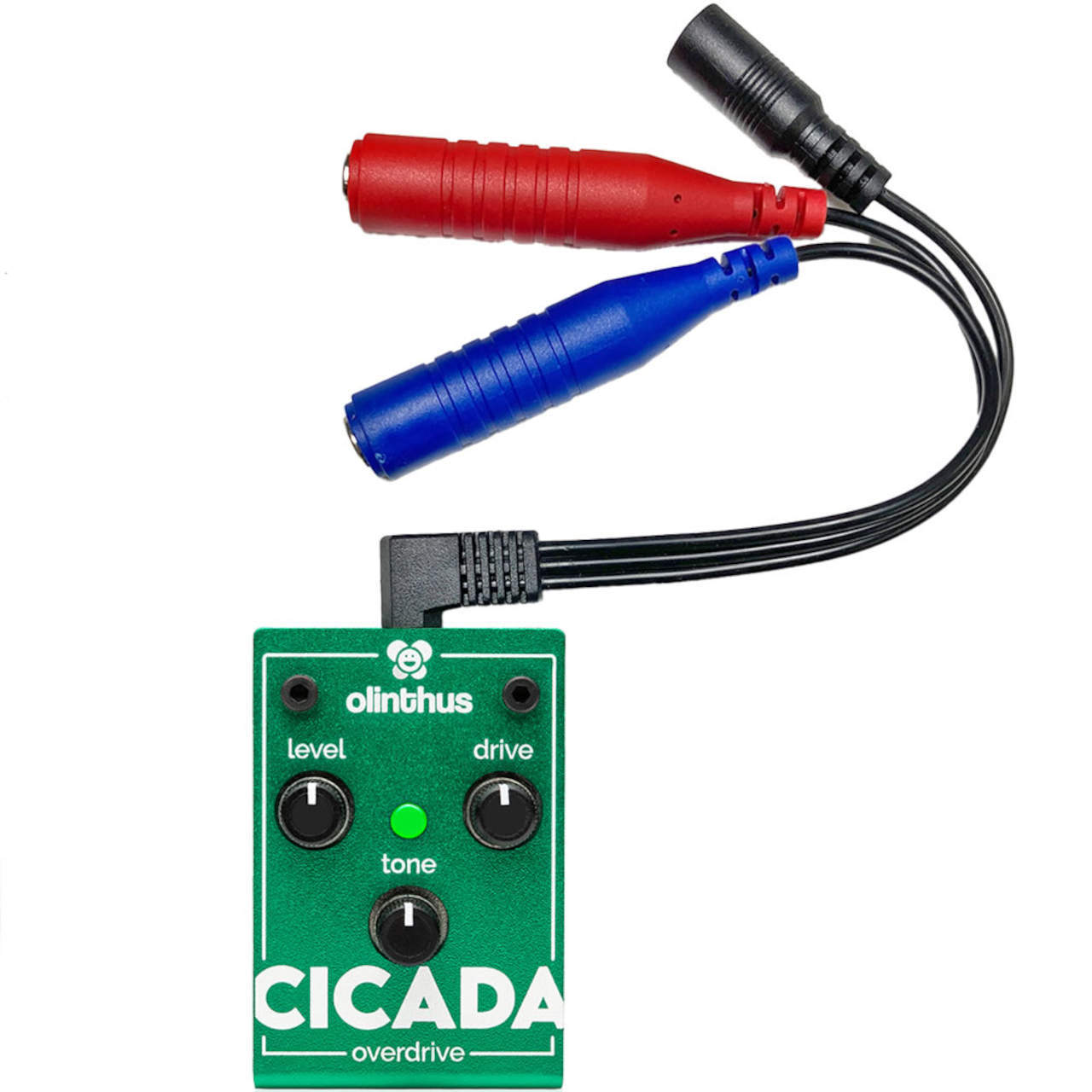 Olinthus CICADA（新品/送料無料）【楽器検索デジマート】