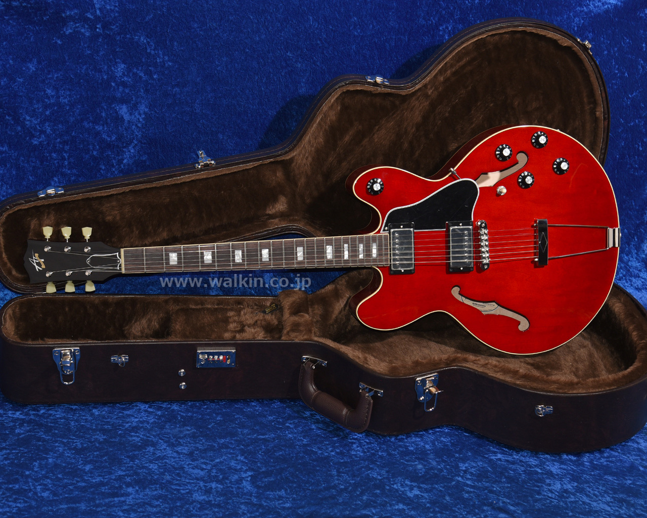 Archtop Tribute AT150D（新品）【楽器検索デジマート】