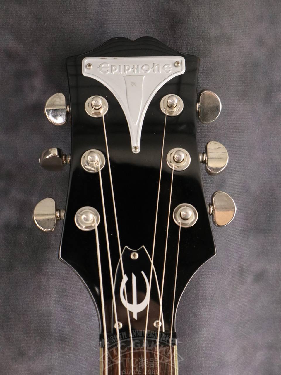 Epiphone WILDKAT（中古）【楽器検索デジマート】