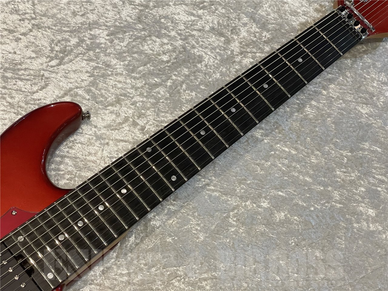 EDWARDS E-SNAPPER-8 ISAO Custom (RAIDEN RED)（新品/送料無料