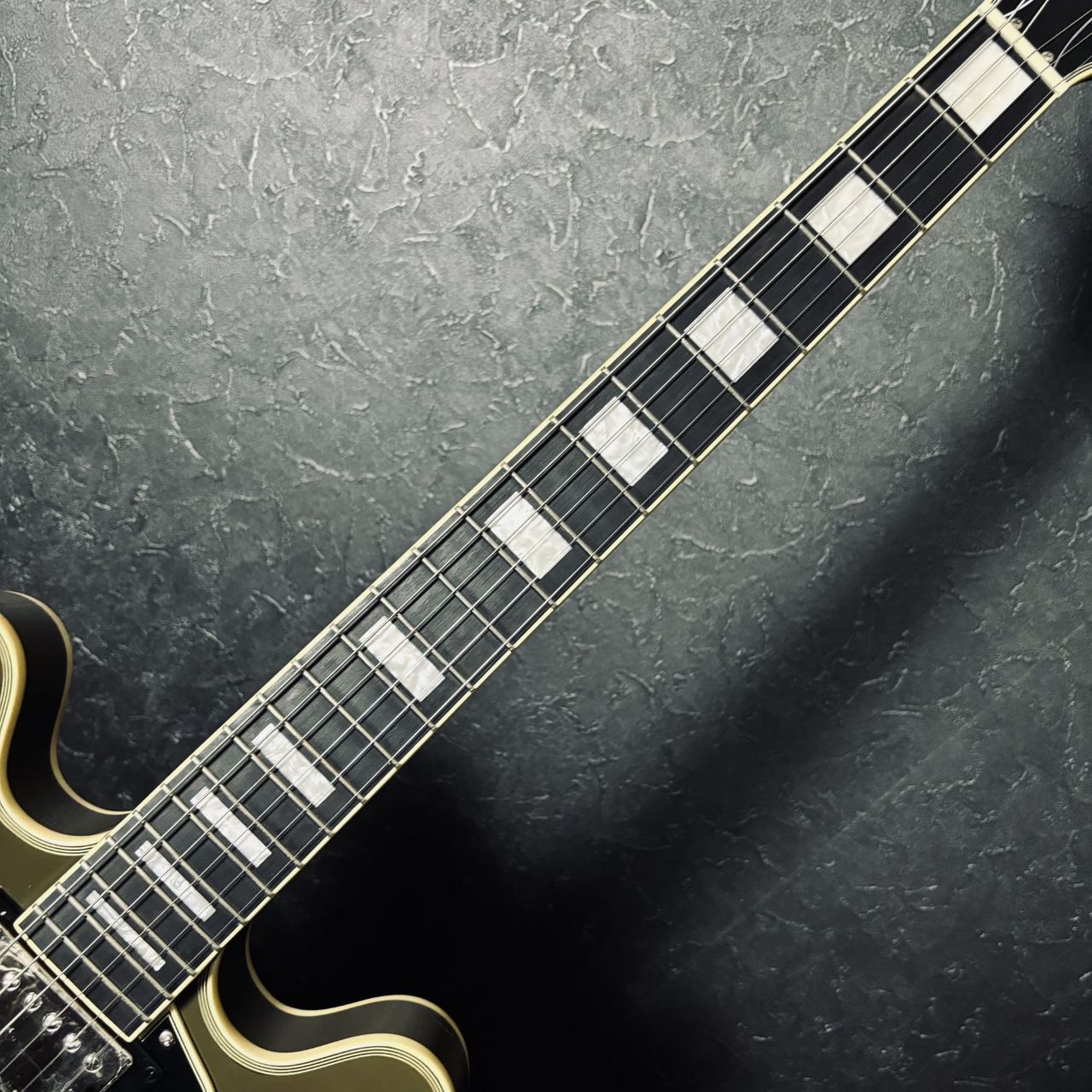 Epiphone Shinichi Ubukata ES-355 Ver.02 生形真一 シグネチャー