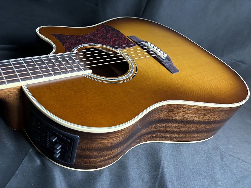 エレアコギター Takamine PTU80CS エレアコ アコースティックギター（新品/送料無料