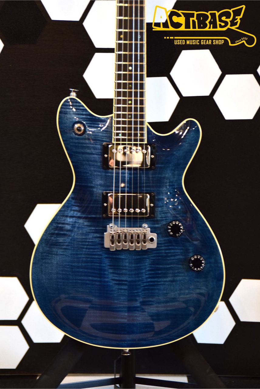 T's Guitars Arc STD - ギター