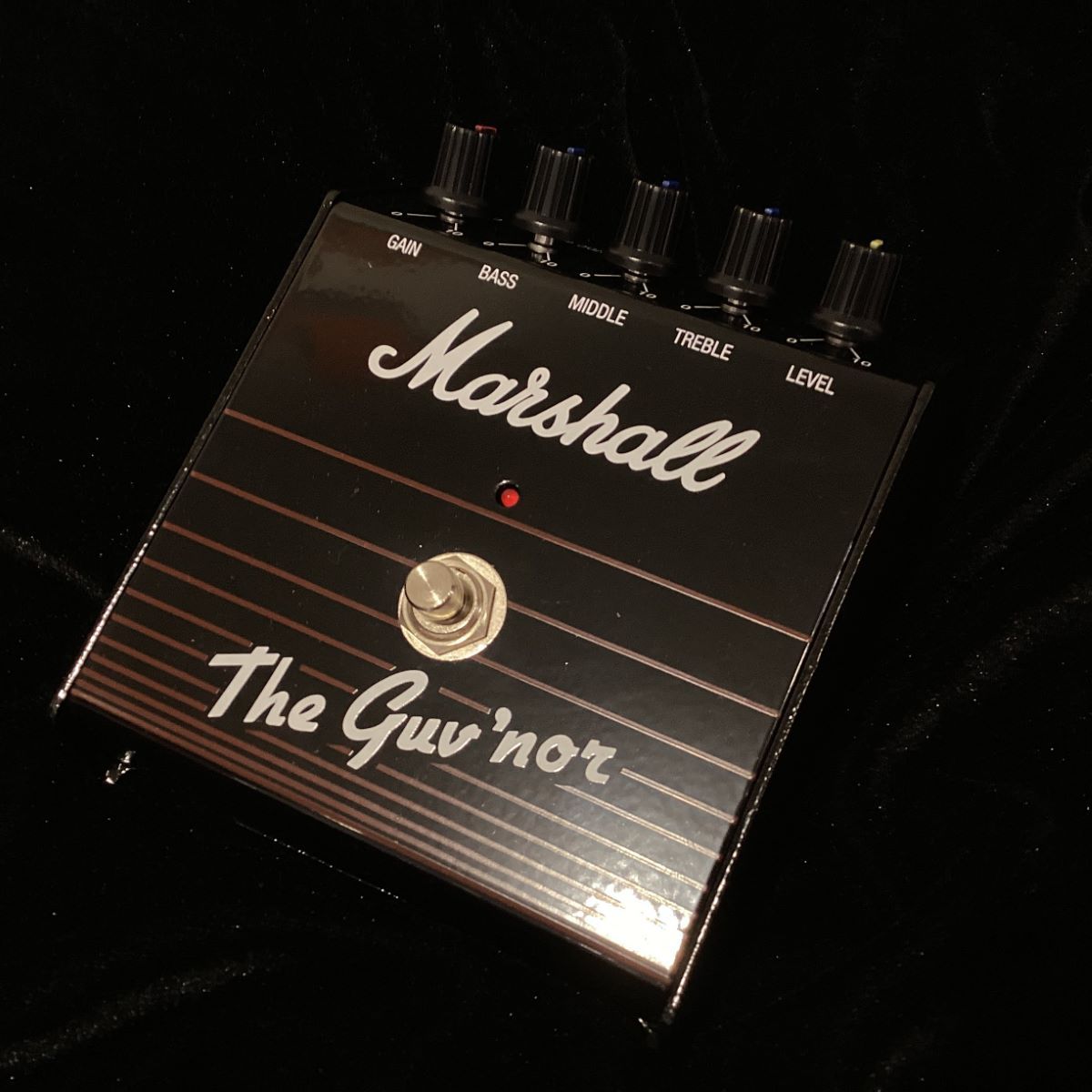 Marshall The GuvNor Reissue ６０周年記念モデル（新品/送料無料