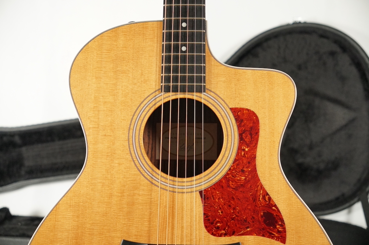 Taylor 214ce-FLTD Fall Limited 2013年製 ES1 Rosewood【キズあり