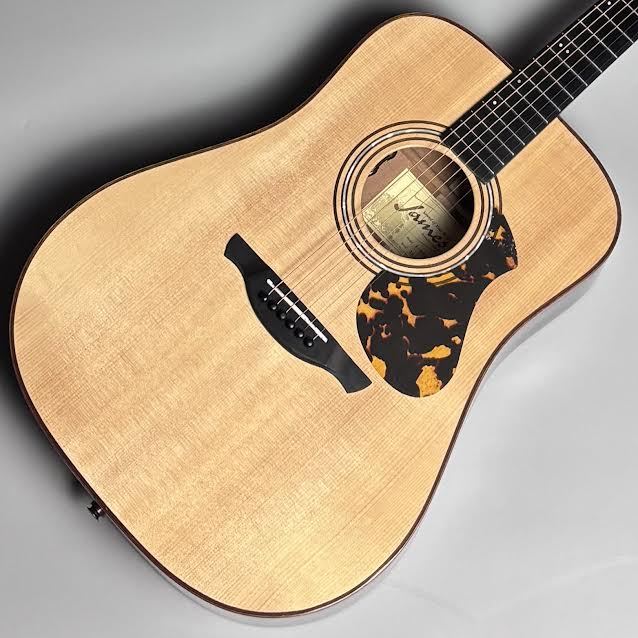 James J-900/L L.R.Baggs PU搭載エレアコ オール単板 ドレッド