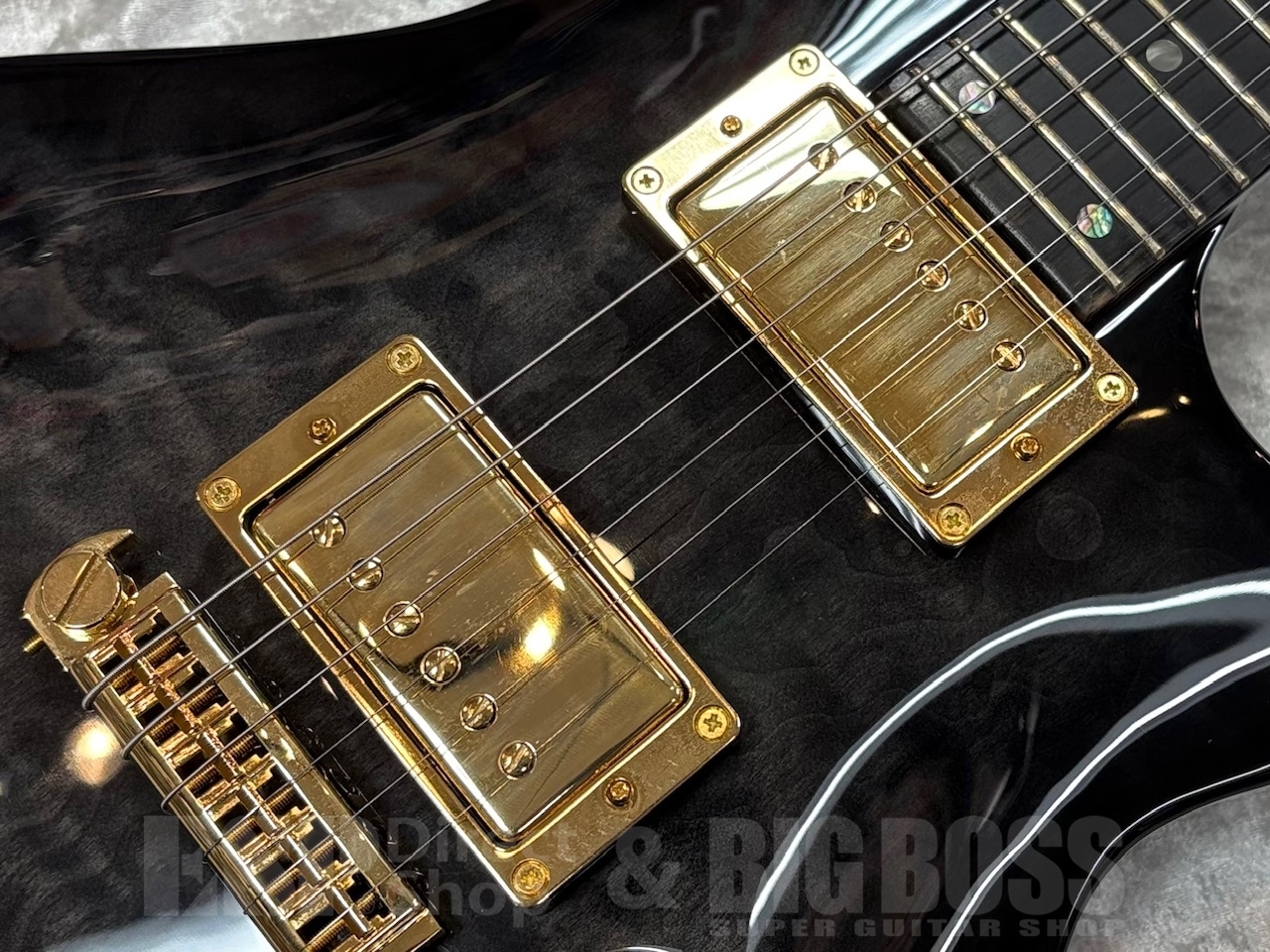 EDWARDS E-U-HL2【See Thru Black Sunburst】~麗 Signature