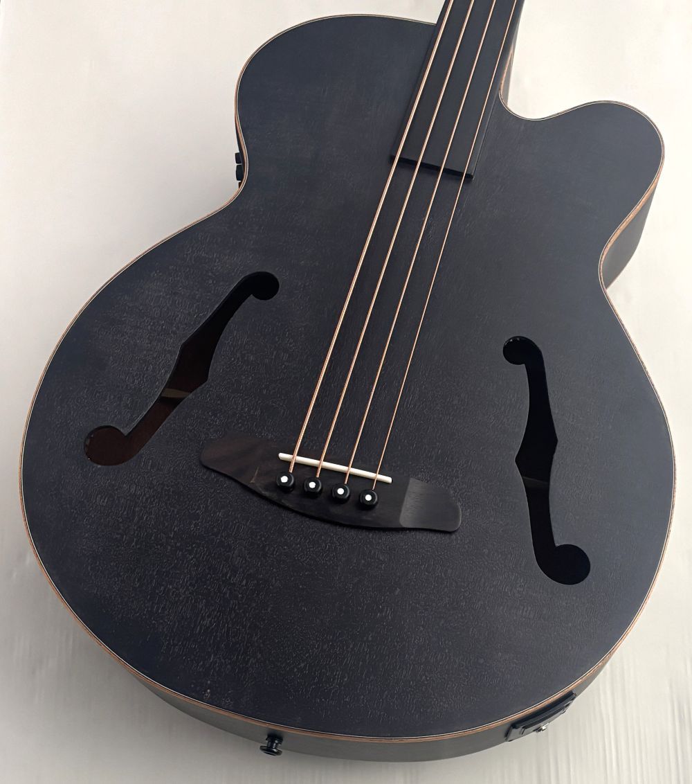 ARIA FEB-F2/FL STBK フレットレス アコベ ネックに傷あり FEB-F2/FL STBK | FEB -Acoustic- | Products | ARIA 荒井貿易