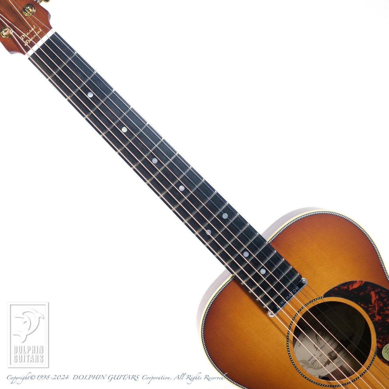 MATON EMD6 (Mini Maton Diesel Special)（新品）【楽器検索デジマート】