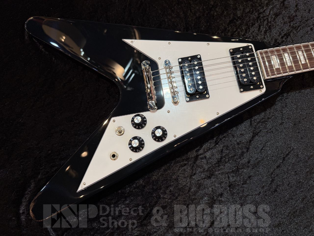 EDWARDS E-FV-LTD 【Black】